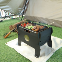 Barbecue au gaz portable pour le camping en plein air, montage facile, acier inoxydable, revêtement résistant à la chaleur, emballage plat, propane