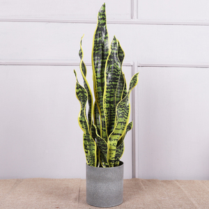 인공 뱀 식물 플라스틱 인공 분재 뱀 식물 <span class=keywords><strong>sansevieria</strong></span> 용설란 실내 장식을위한 인공 관상용 식물 - Product Image 4