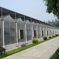 Grande serre agricole multi-travées en acier galvanisé Venlo avec panneaux en polycarbonate PC, kit d'emballage en conteneur de Chine