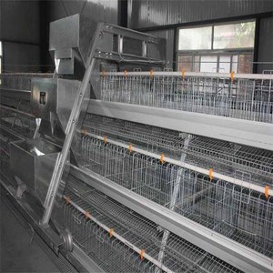 Cage à poules pondeuses de type A combinée pour 6 poulets par cage, équipement d'élevage avicole avec alimentation et abreuvement automatiques - Product Image 3