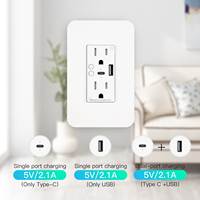 SLS WiFi prise de courant intelligente 125 * 80mm15A US Type USB Type C prise de contrôle indépendante App prise murale télécommandée