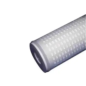 Cartucho plisado de membrana de PTFE Cartucho de filtro plegable para tratamiento de agua