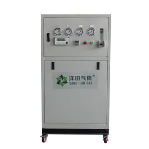 Industrial equipment good Chinese supplier MN 99.99% purity nitrogen generator for food