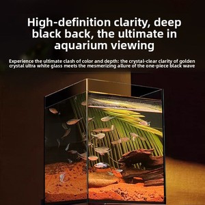 ตู้ปลากระจกใสพิเศษหนาพิเศษ ด้านหลังสีดำ ตู้ปลาสำหรับห้องนั่งเล่นขนาดเล็ก <span class=keywords><strong>ปลา</strong></span>เบต้า <span class=keywords><strong>ปลา</strong></span>ทอง <span class=keywords><strong>ปลา</strong></span>กูปี้ - Product Image 4