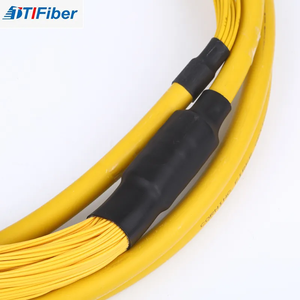 Nhà máy 6 12 lõi trong nhà/ngoài trời SM mm SC/LC/ST/FC/MPO/<span class=keywords><strong>mu</strong></span> bọc thép sợi quang vá dây cho cáp thông tin liên lạc - Product Image 2