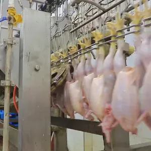 Kippenslachthuis 3000bph Kippenveer Verwijdering Machine Proceslijn