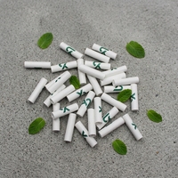 Filtre à fumée en charbon actif naturel de coque de noix de coco, filtre efficacement les substances nocives présentes dans le