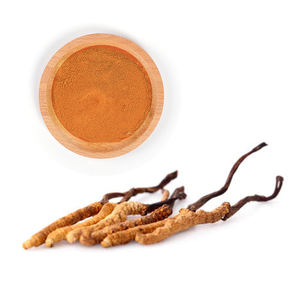 Suplemento Herbal <span class=keywords><strong>Bulk</strong></span> <span class=keywords><strong>Cordyceps</strong></span> <span class=keywords><strong>Militaris</strong></span> Mycelium Em Pó Comida UV Wuling Extrato De Cogumelo De Leões Juba Álcool Etanol e Água - Product Image 2