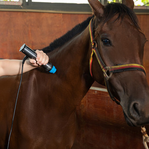 Animal <span class=keywords><strong>Shock</strong></span> <span class=keywords><strong>Wave</strong></span> Physiotherapy Machine pour le soulagement des douleurs articulaires des chiens de cheval et la récupération des blessures - Product Image 6