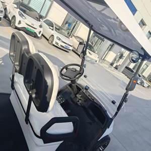 Coche Eléctrico Turístico Vintage de Último Modelo 2026 >8 Pasajeros Motor de 7500W Batería de Plomo-Ácido Autonomía de 50-70km - Product Image 4