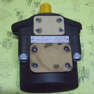 ปั๊มไฮดรอลิก Atos Vane รุ่น PFE-41029-1DT 1DV 1DW ผลิตในอิตาลี - Product Image 2