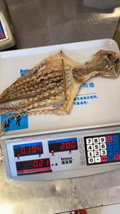 <span class=keywords><strong>Pulpo</strong></span> Seco, <span class=keywords><strong>Precio</strong></span> de Fábrica de Mariscos, <span class=keywords><strong>Pulpo</strong></span> Seco en Oferta, Octopodidae - Product Image 6