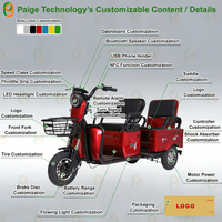 Tricycle électrique cargo Paige 600W 800W 1000W, personnalisé en usine, pas cher, pour adultes, avec cabine fermée, tricycle à moteur électrique personnel