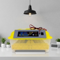 Incubateur automatique HHD 48 œufs à double alimentation pour l'éclosion de poulets, canards et cailles, à vendre
