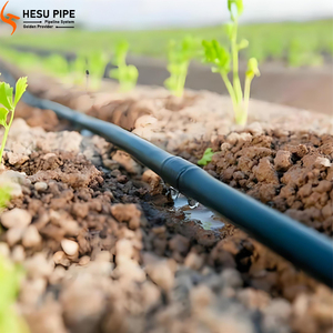2025 nuovo nastro a goccia acqua 1 ettaro giardino o agricoltura <span class=keywords><strong>gocciolante</strong></span> sistema di irrigazione 16mm <span class=keywords><strong>tubo</strong></span> di irrigazione tubi in plastica <span class=keywords><strong>tubo</strong></span> Hdpe <span class=keywords><strong>tubo</strong></span> - Product Image 4