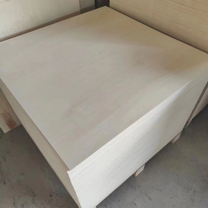 Plaques de processus 1.5mm 2mm <span class=keywords><strong>3mm</strong></span> Feuilles de contreplaqué commerciales de conception moderne Matériau de bouleau standard E0 pour la fabrication de jouets - Product Image 3