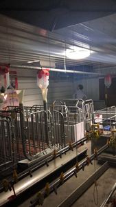 กรงหมูสำหรับเลี้ยงหมูอุปกรณ์เลี้ยงหมูกรงสัตว์เลี้ยง - Product Image 4