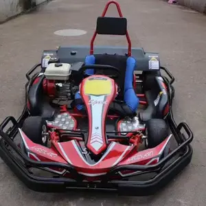 Volwassen Kart Racen Benzine Go Karts 270cc Karting Benzine