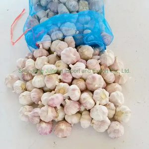 <span class=keywords><strong>Ajo</strong></span> Fresco Chino Premium, Blanco Puro, Saludable para Cocinar, Empaquetado en Bolsa de Malla, Listo para el Mercado - Product Image 3