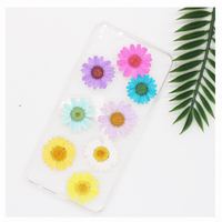 Fiori di Margherita Essiccati Non Tinti, Fiori di Margherita Veri Pressati per Resina, Unghie in Resina e Decorazioni per Scrapbook