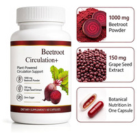 Capsules Beetroot Circulation+ avec extrait de pépins de raisin, 1000 mg de poudre de betterave, sans sucre, 60 capsules, complément alimentaire