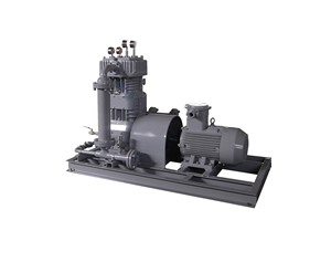 Compresseur d'acétylène de petite taille à lubrification sans huile à conversion de fréquence CT4, type refroidi par air à courroie - Product Image 5