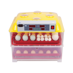 Meilleures ventes Incubateur à œufs 96 œufs avec <span class=keywords><strong>couveuse</strong></span> pour poussins par CE approuvé WQ-96 - Product Image 2