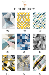 Alfombrillas esponjosas de estilo nórdico para sala de estar, alfombras de área grande, populares, nuevas - Product Image 6