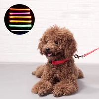 Collier de Chien en Nylon Réglable avec Lumières LED Durable Polyester Sécurité Clignotant Glowing Night Training Fluorescent Hair Pet Leash