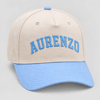 Casquette de baseball unisexe en coton structuré à 5 panneaux avec logo personnalisé brodé en 3D, chapeau de sport réglable pour la course à pied, OEM ODM, vente en gros, directement de l'usine