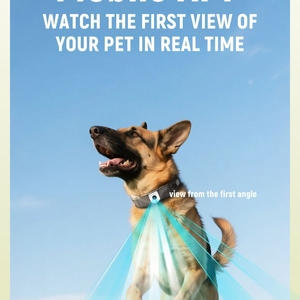 <span class=keywords><strong>Collar</strong></span> inteligente-Alerta DE SALUD AI-Cerca electrónica-Impermeable y a prueba de golpes-Monitor de ansiedad por separación de mascotas - Product Image 6