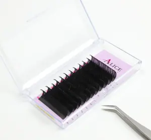 Free Sample Cashmere Lash Tray Loose Base Fan Like Butter Matter Black Volume Lashes Handmade 0.3 0.05 Eyelash Extension