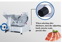 Nouvelle machine à trancher la viande entièrement automatique en acier inoxydable pour viande congelée 220V Garantie 1 an