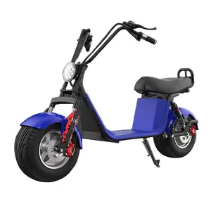 Top Fashion Adult Electric Motorcycle Scooter 10 inch Vacuum Tyre Off-road Racing Moped Electric Dirt Bikes For Sale