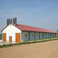 Estructura de Acero Prefabricada para Granjas Avícolas, Construcción de Corrales para Pollos, Cerdos, Cabras y Vacas, Instalación Rápida