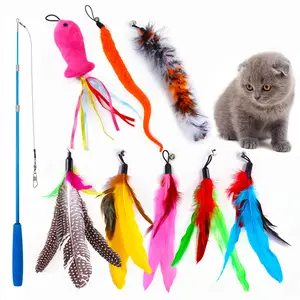 New Teaser Cat Toys Set piuma colorata sostituisci Head Cat Teaser canna da pesca Teasing Rod puntatore Laser Teaser giocattolo interattivo