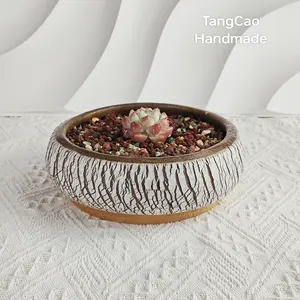 TangCao - Vaso de cerâmica para plantas, vaso de cerâmica minimalista para artesanato de mesa, textura fosca e sem vazamento, vaso de cerâmica hidropônico para plantas