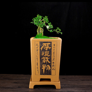 Vaso Grande Quadrato in Argilla Viola Yixing con <span class=keywords><strong>Sottovaso</strong></span>, Fioriera Zisha Intagliata per Clivia, <span class=keywords><strong>Bonsai</strong></span> e Piante Verdi - Product Image 4