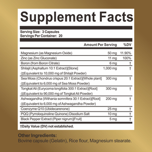 Wellbody แคปซูลมอสจากทะเล Shilajit 8-1 Ashwagandha Tongkat Ali boron magnesium ฉลากส่วนตัวสำหรับโรงงานผู้ใหญ่ /odm - Product Image 6