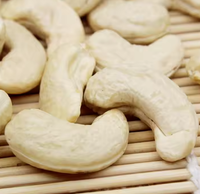 500G 4 Soorten Gemengde Noten Pompoenpitten Amandelen Walnoten Cashewnoten