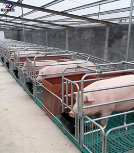 Пластиковые решетки для свиней, пластиковые полы для свиноферм, оборудование для свиноводства, прочее оборудование для животноводства - Product Image 3