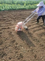 Semoir Manuel à Pousser pour Maïs, Engrais, Équipement Agricole pour Semis de Haricots et Arachides, en Plastique Durable