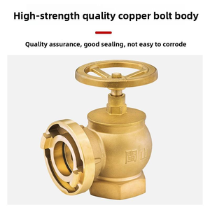 Minshan 2.5 pouces SNW65 bouche d'incendie intérieur plein cuivre SN65 bouche d'eau stabilisante réduisant la pression - Product Image 2
