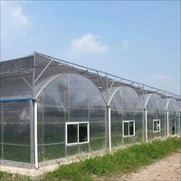 Invernadero de Arco Multi-span Grande de 30 x 100 para Agricultura y Vegetales con Estructura de Acero y Cubierta de Lámina de Policarbonato, Sistema Hidropónico