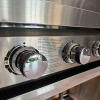 Grill brésilien/noir en acier inoxydable, Machine pour Bbq de cuisine extérieure