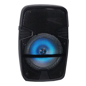 YM 8 Zoll tragbarer drahtloser Bluetooth-Lautsprecher für tragbare Heimkino-Audio-Player Handy-Karaoke-Bühne und Außenbereich