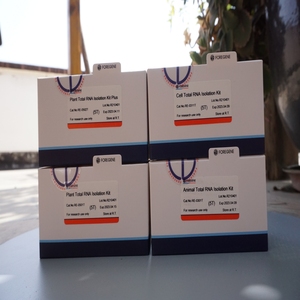 Produits de réactifs de laboratoire Foregene Kit d'isolation de l'<span class=keywords><strong>ADN</strong></span> Pit Mud - Product Image 6