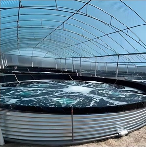 Bassin d'élevage commercial de tilapias, structure en acier galvanisé, revêtement en PVC, bassin rond pour aquaculture intensive en recirculation (<span class=keywords><strong>RAS</strong></span>) - Product Image 5