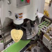 Machine d'emballage de chocolat en forme de cœur à grande vitesse entièrement automatisée et personnalisable