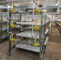 Vente directe d'usine : Poulaillers et cages à poulets au design durable pour l'élevage avicole